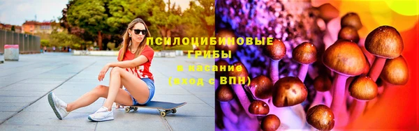 стаф Абинск