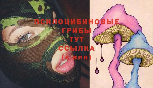 марихуана Абаза