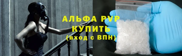 молекула духа Приозерск