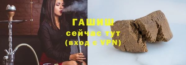 стаф Абинск