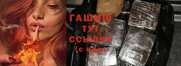 стаф Абинск