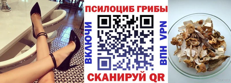 MEGA как зайти  Ковдор  Галлюциногенные грибы ЛСД 